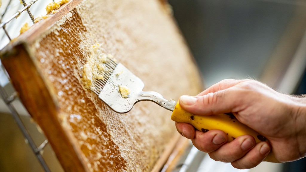 Ein Imker behandelt Bienenwaben voll Honig, um die Wabe für die Honigernte zu schleudern