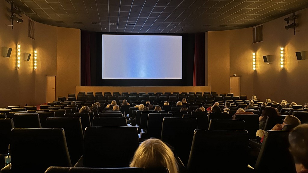 Menschen sitzen in einem Kino.