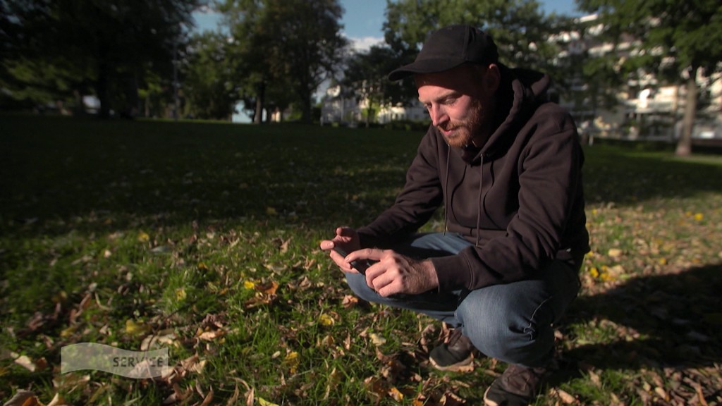Foto: SR-Reporter fotografiert mit einem Handy den Waldboden