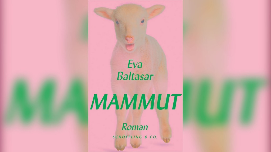 Buchcover: Eva Baltasar - 