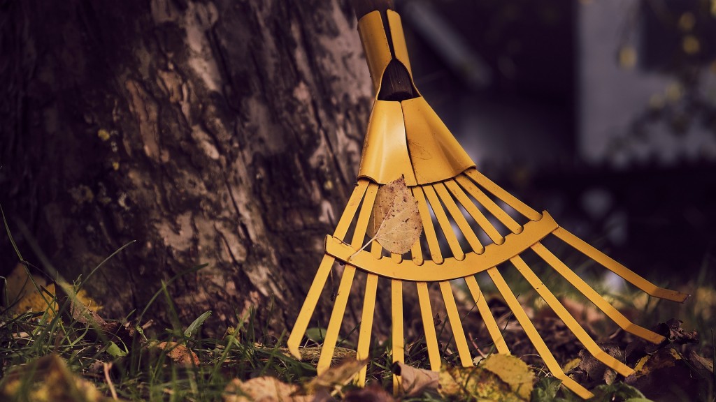 Rechen lehnt an einem Baum im Herbst