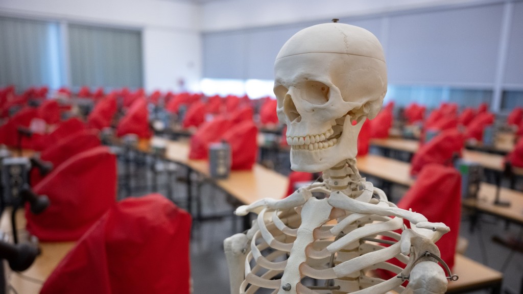 Foto: Ein Skelettmodell steht in einem Mikroskopiersaal.