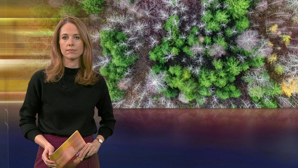 Foto: Julia Lehmann im Studio