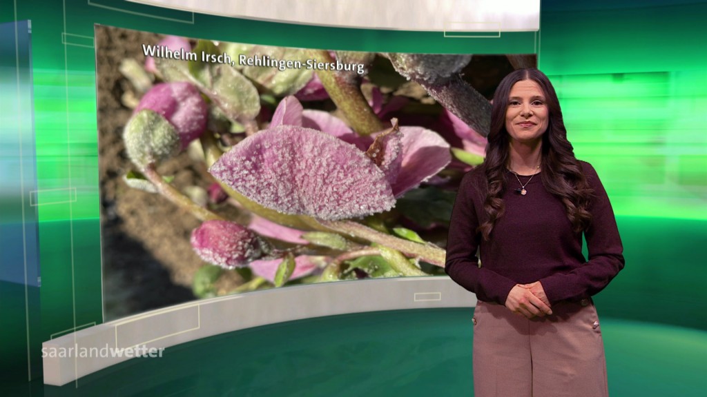 Foto: Jessie Ziegler im Studio