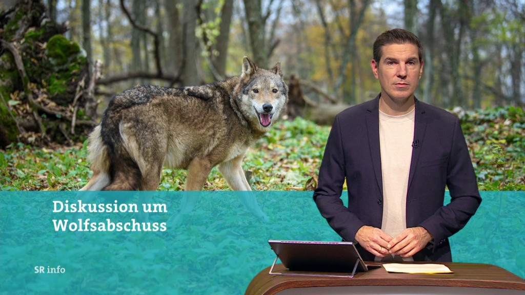 Foto: Florian Possinger im Studio