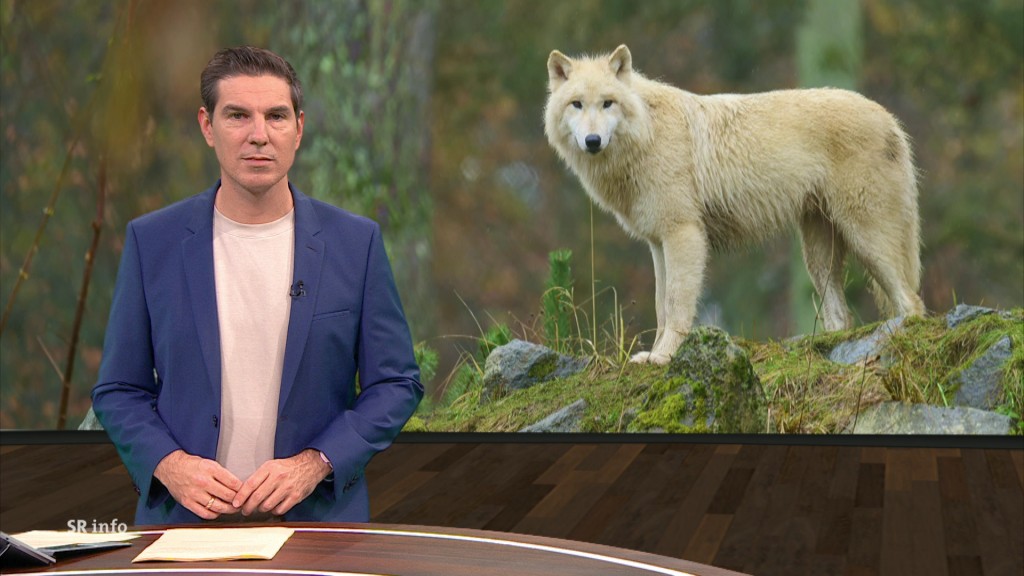 foto: Florian Possinger im Studio