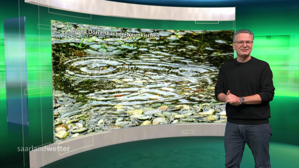 Foto: Michael Friemel im Studio