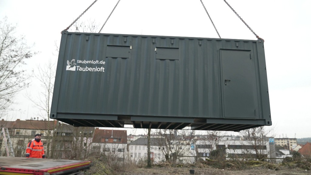 Taubenhaus wird platziert