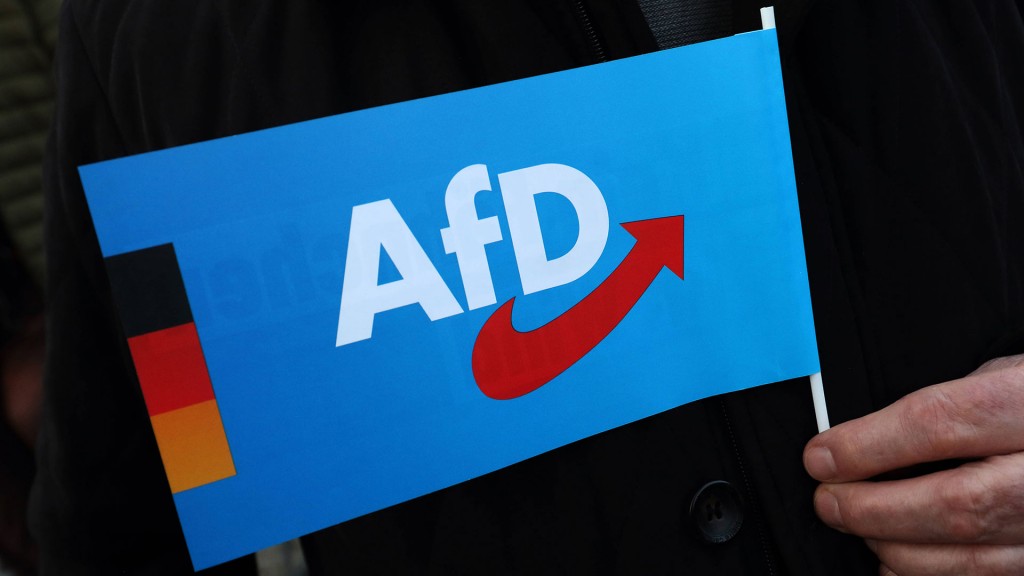 AfD Fähnchen