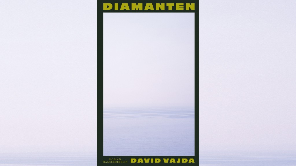 Buchcover: David Vajda - 
