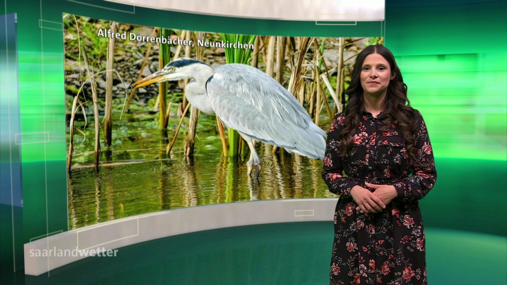 Foto: Jessie Ziegler im Studio