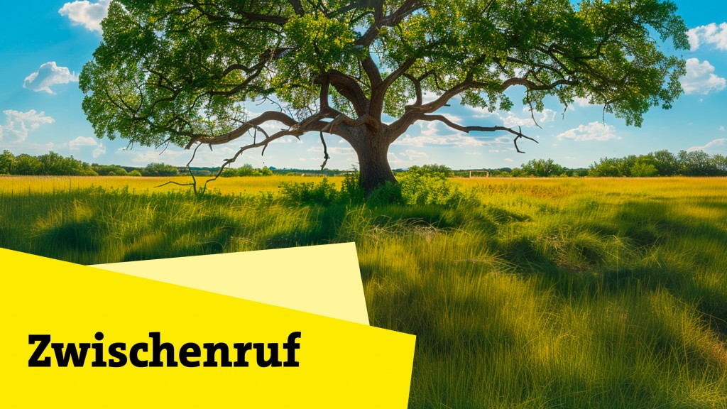 Zwischenruf
