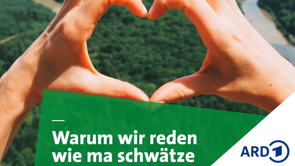 Grafik SR Warum wir so reden