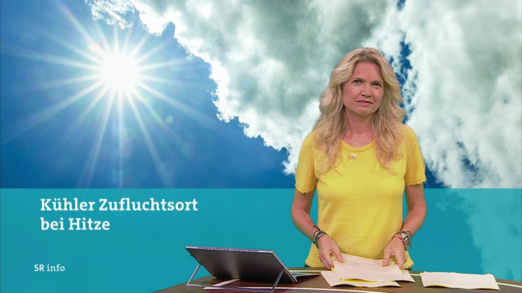 Anja Fröhlich im Studio