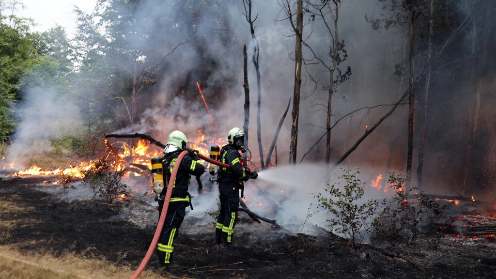 Feuerwehrleute löschen einen Waldbrand zwischen Riegelsberg und Holz, 2022