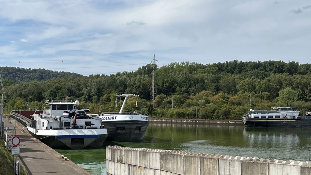 Grün schimmernde Saar im Dillinger Hafen