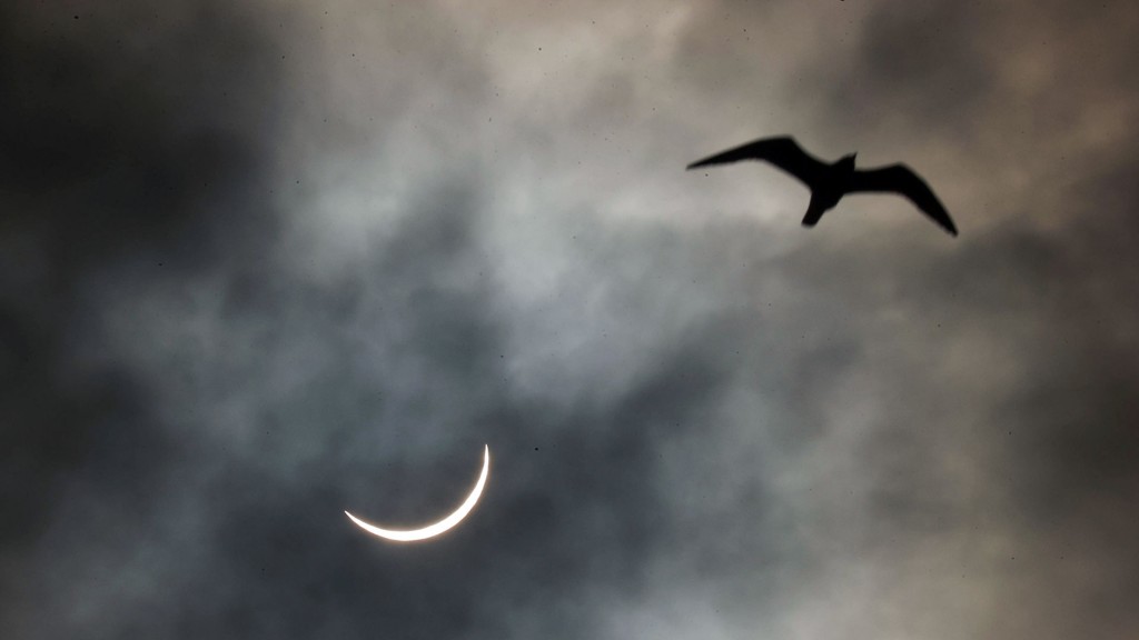 Foto: Während einer teilweisen Sonnenfinsternis bleibt nur noch eine dünne Sichel zu sehen