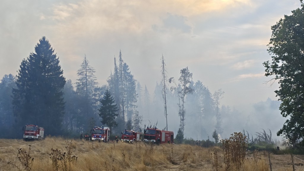Feuerwehreinsatz vor einem Waldstück bei Illingen