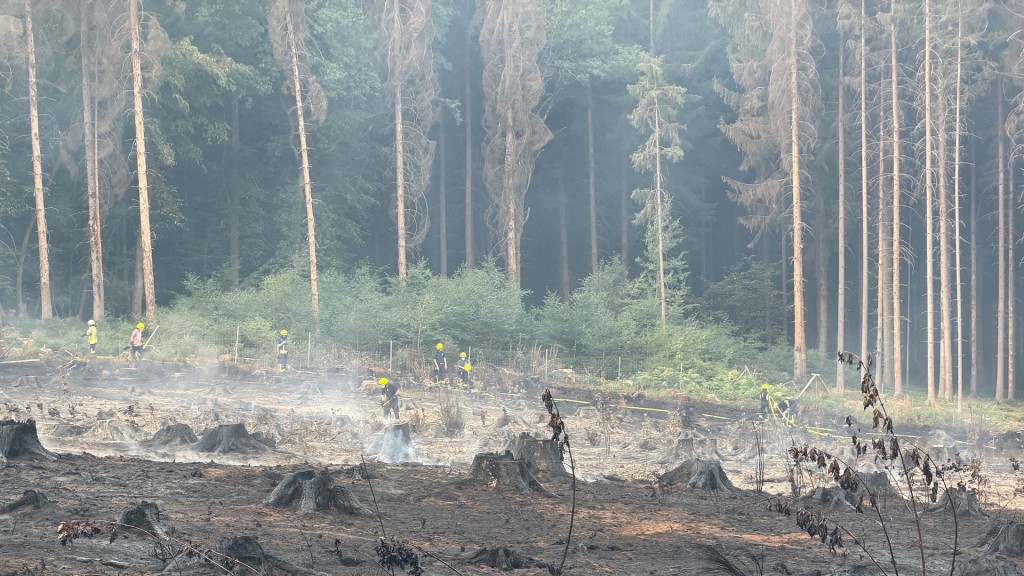 Foto: Löscharbeiten bei Waldbrand in Illingen