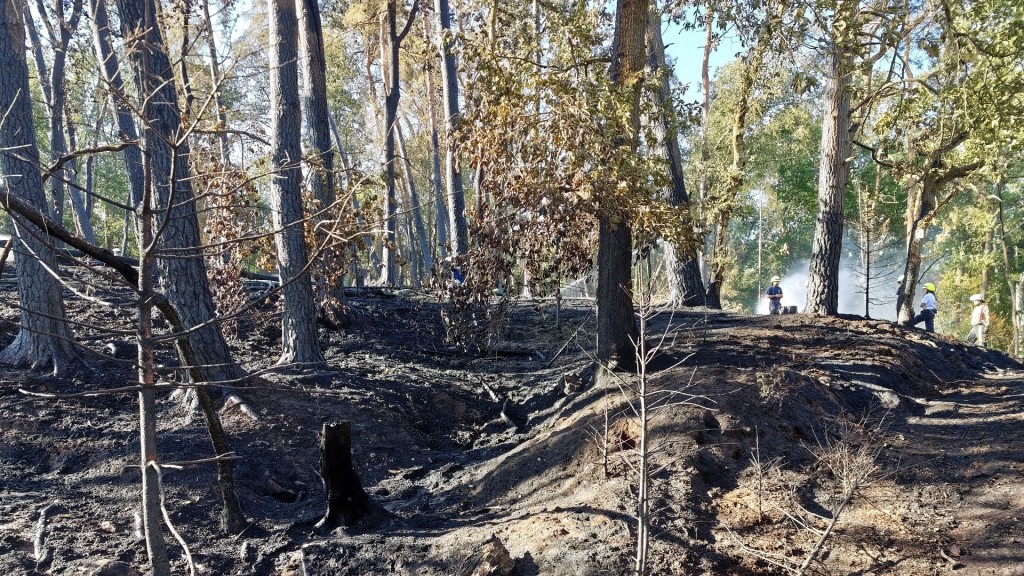 Foto: Brandwache im Wald zwischen Ottweiler und Steinbach