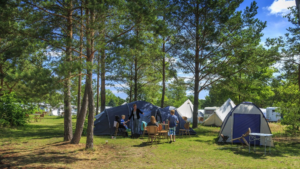 Urlauber sitzen am Campingtisch vor einem Zelt