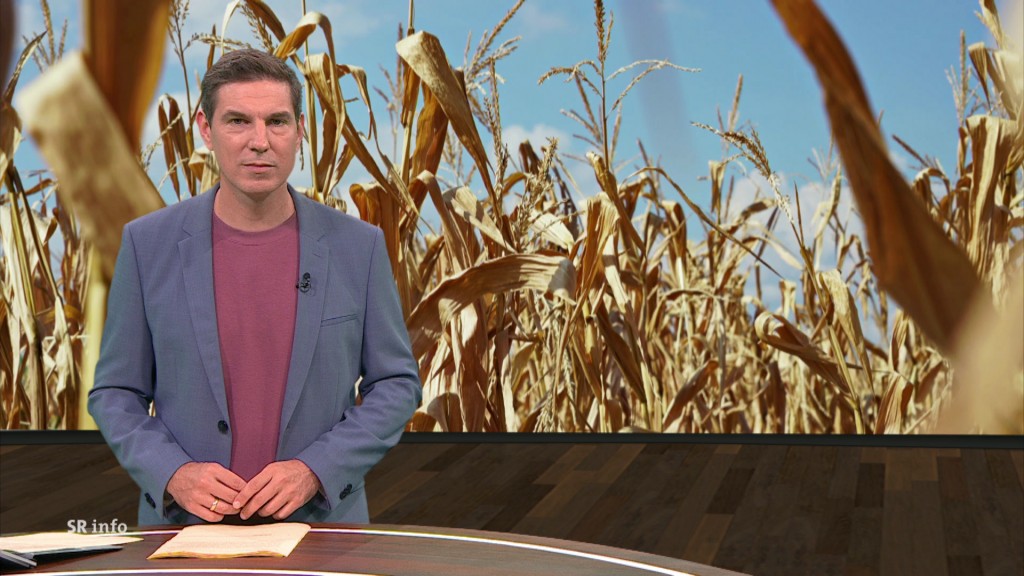 Foto: Florian Possinger im Studio