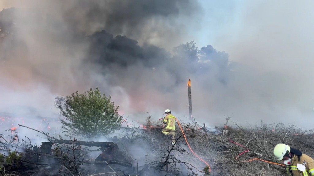 Feuerwehr bekämpft einen Waldbrand