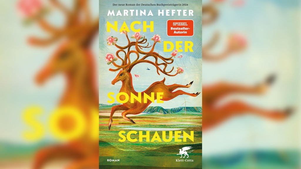 Buch-Cover: Martina Hefter - „Nach der Sonne schauen“