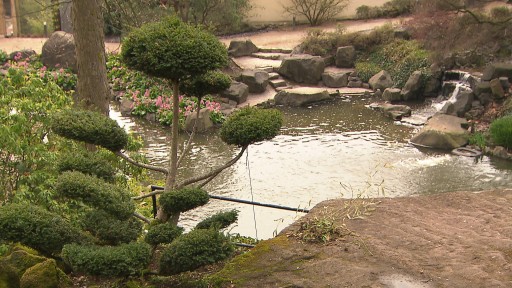 Sr Mediathek De Wims Japanischer Garten In Kaiserslautern 29 04