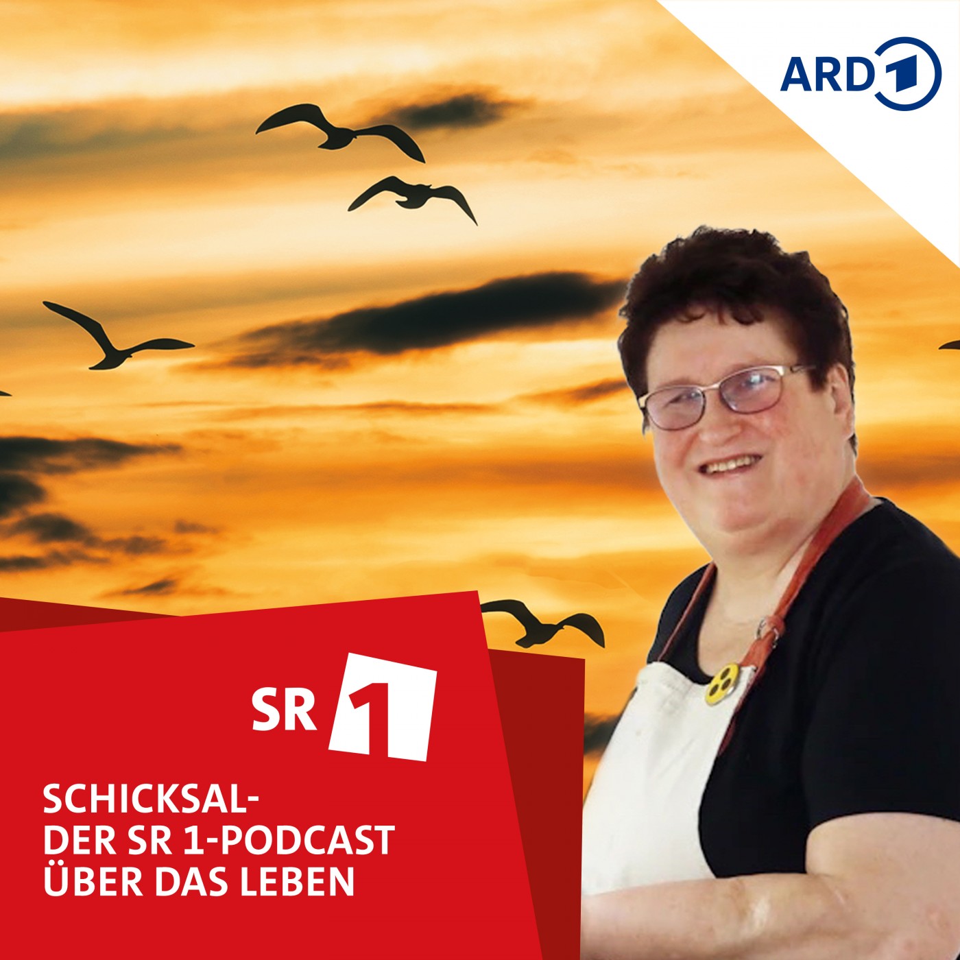 Schicksal - der SR 1-Podcast über das Leben