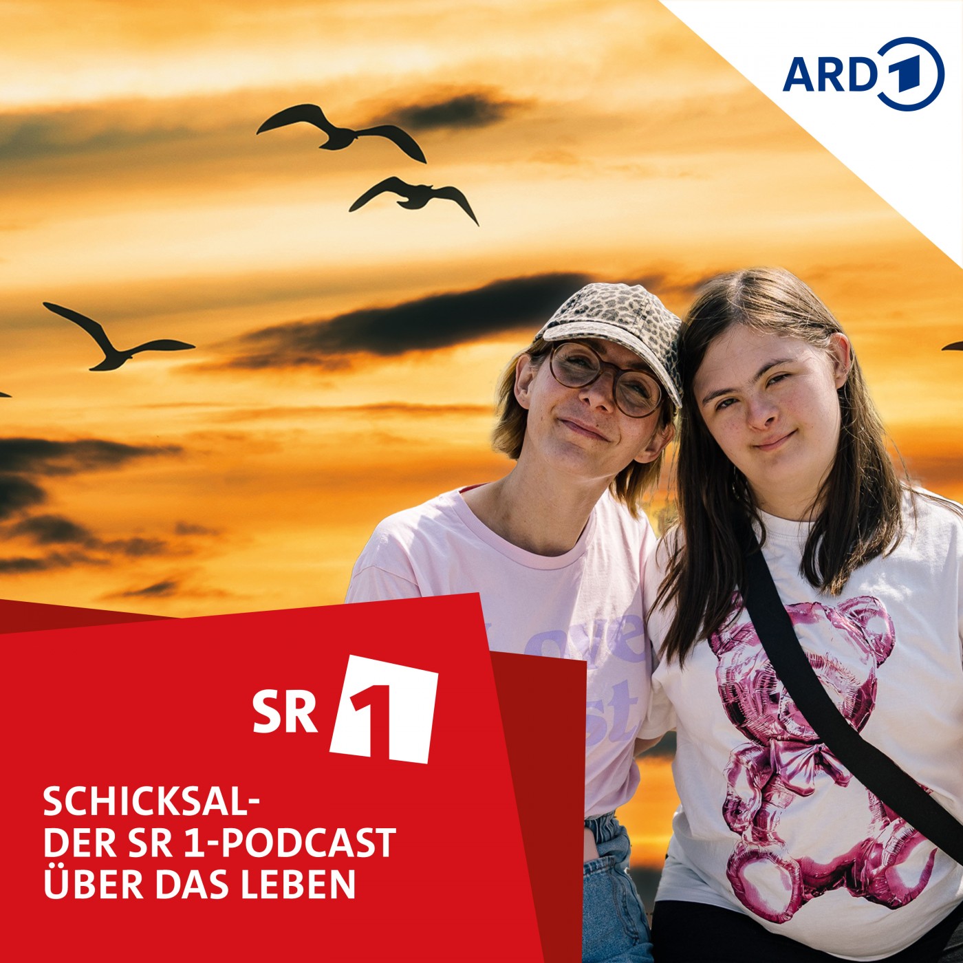 Schicksal - der SR 1-Podcast über das Leben
