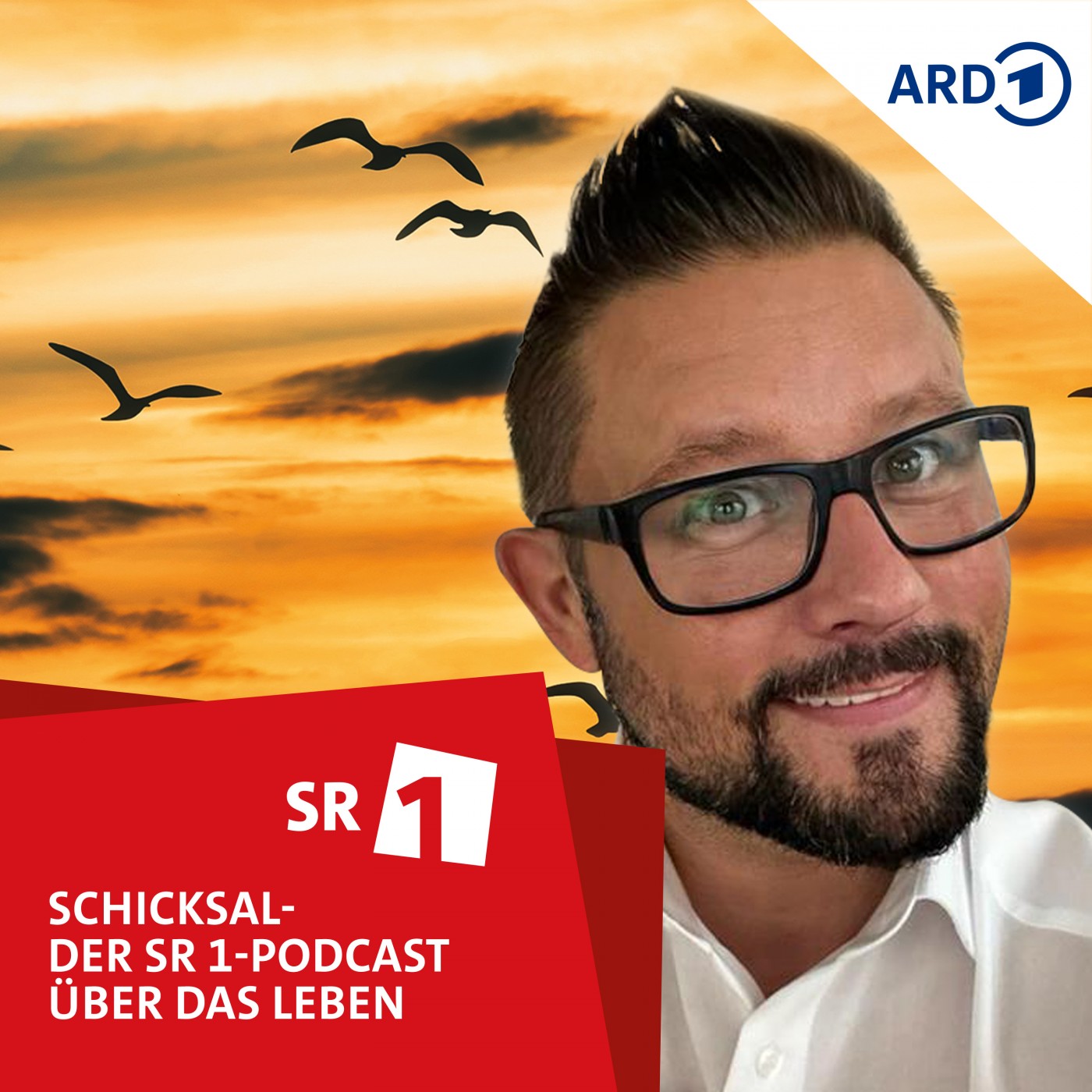 Pflege, Prosecco, Panik - wenn das Leben komplett entgleist