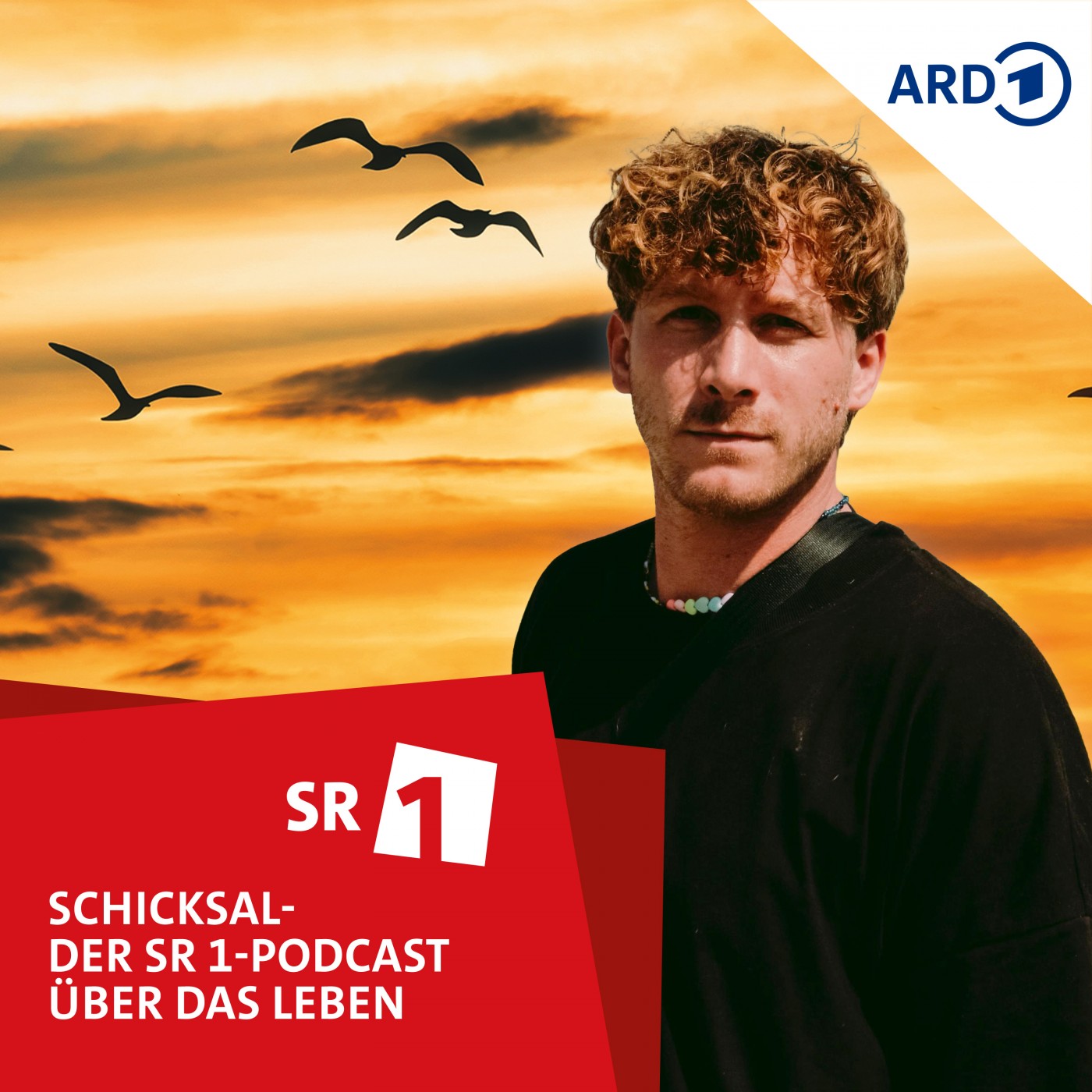 ADHS extrem: Chaos im Kopf - und trotzdem Tierschützer mitten im Kriegsgebiet