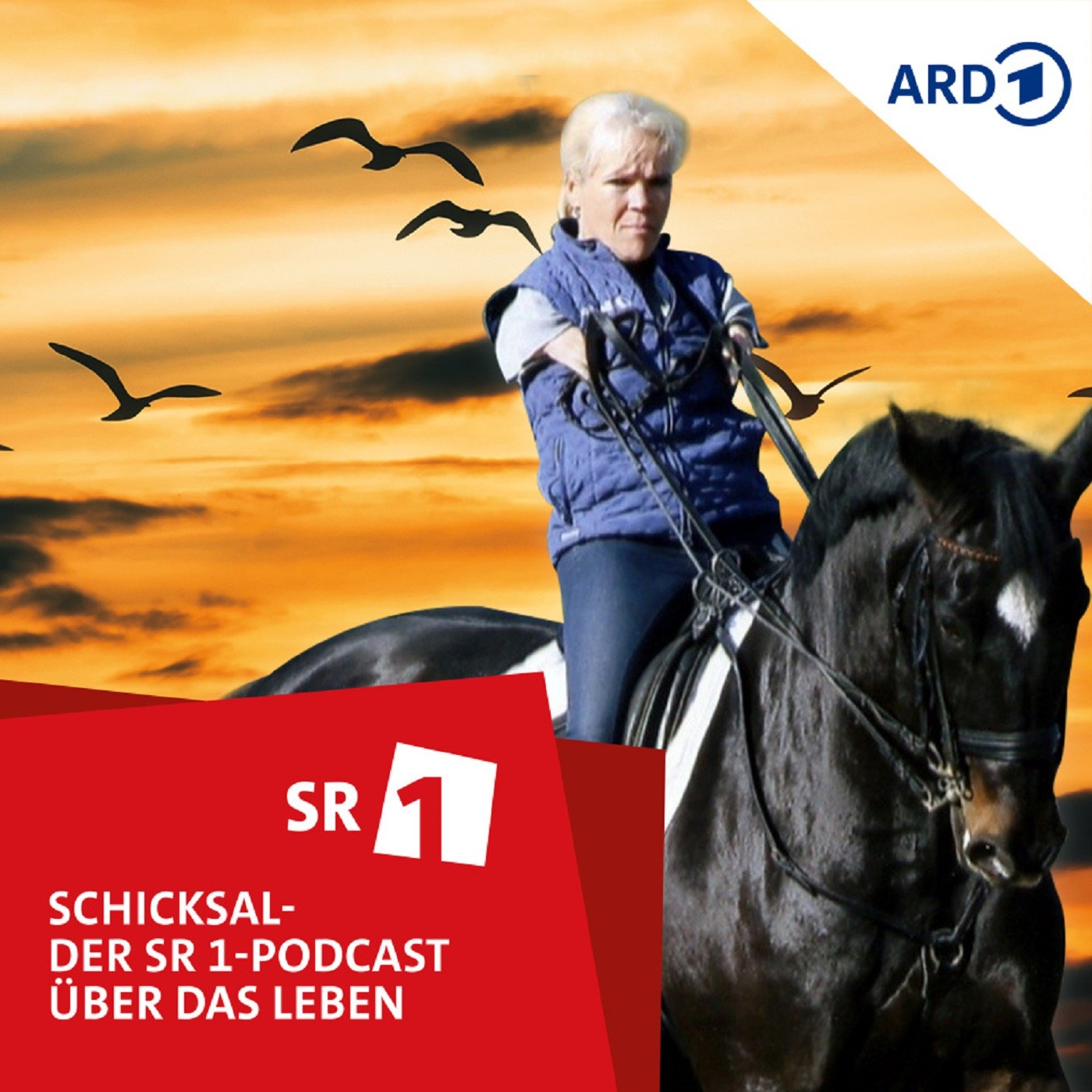 Schicksal - der SR 1-Podcast über das Leben