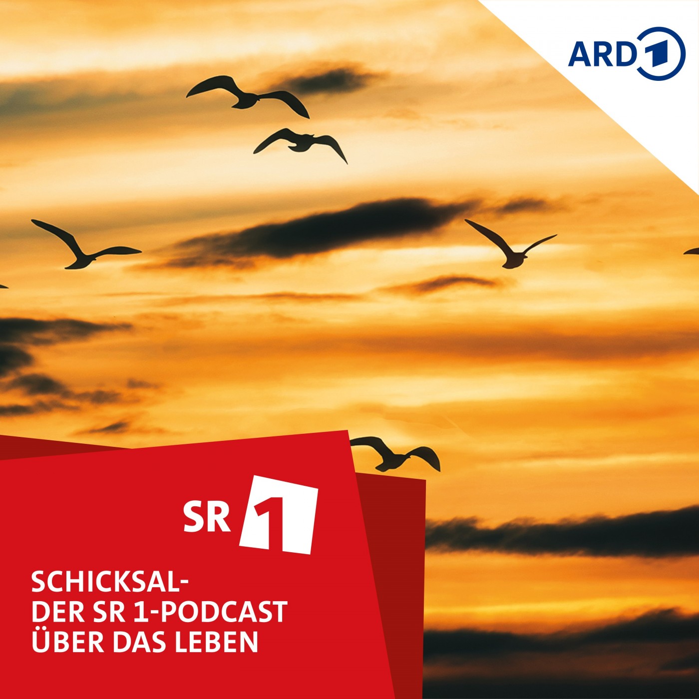 Gefangen auf dem Nil - Albtraum statt Abenteuer