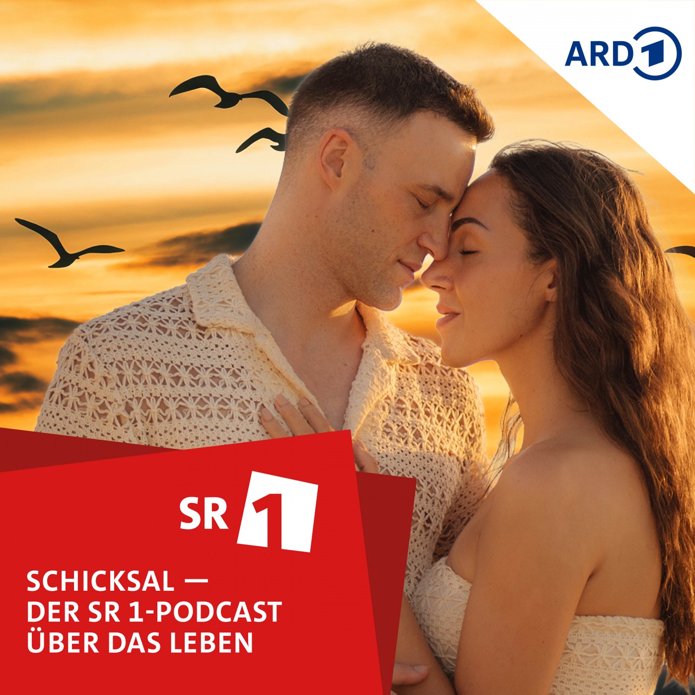 Amnesie: Ausgelöschte Jahre und Erinnerungen - doch der Partner hilft als Gedächtnis episode artwork