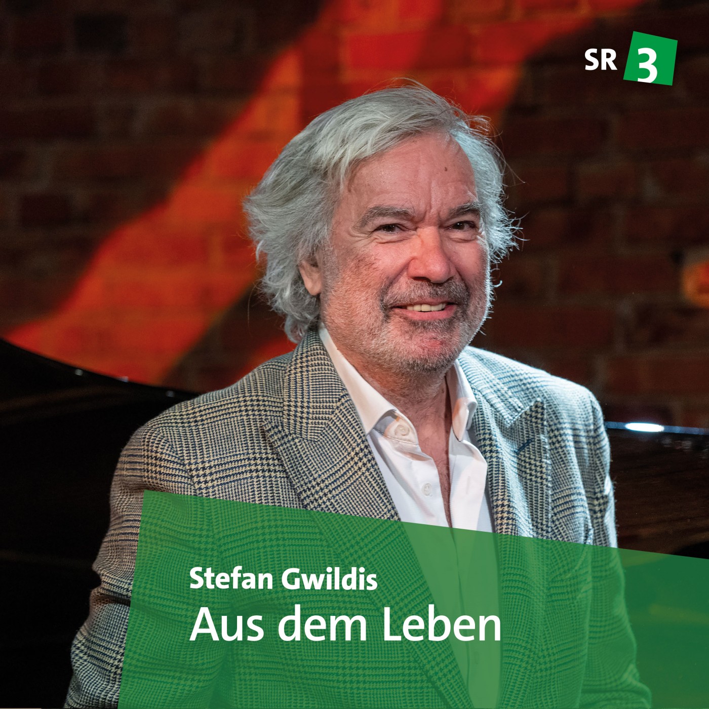 mit dem Musiker Stefan Gwildis