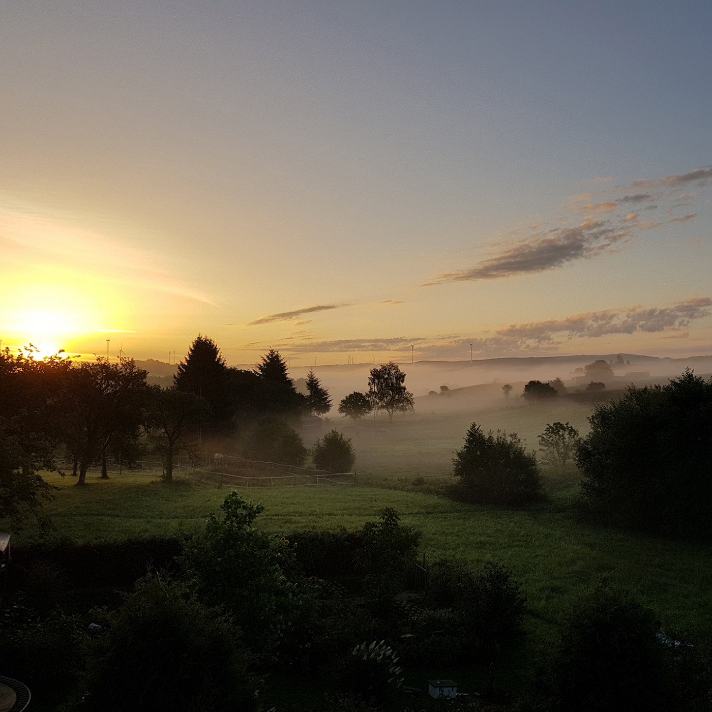 Ein Haufen Mist oder Apocalypse cow