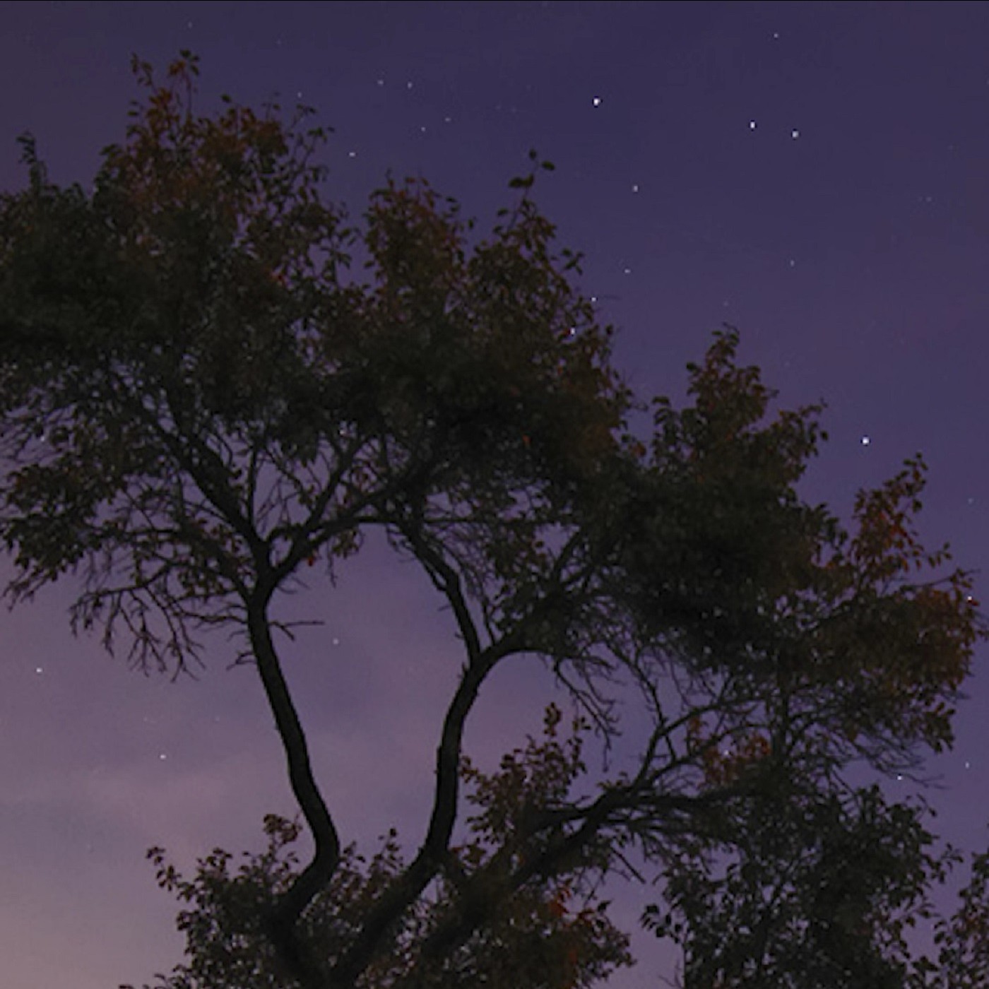 Sternendorf, Himmelsblicke, Weltraumkuss - Erhellendes über die Dunkelheit der Nacht