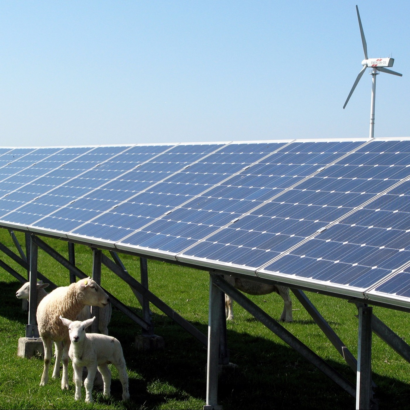 Auf dem Weg zur Grünen Null