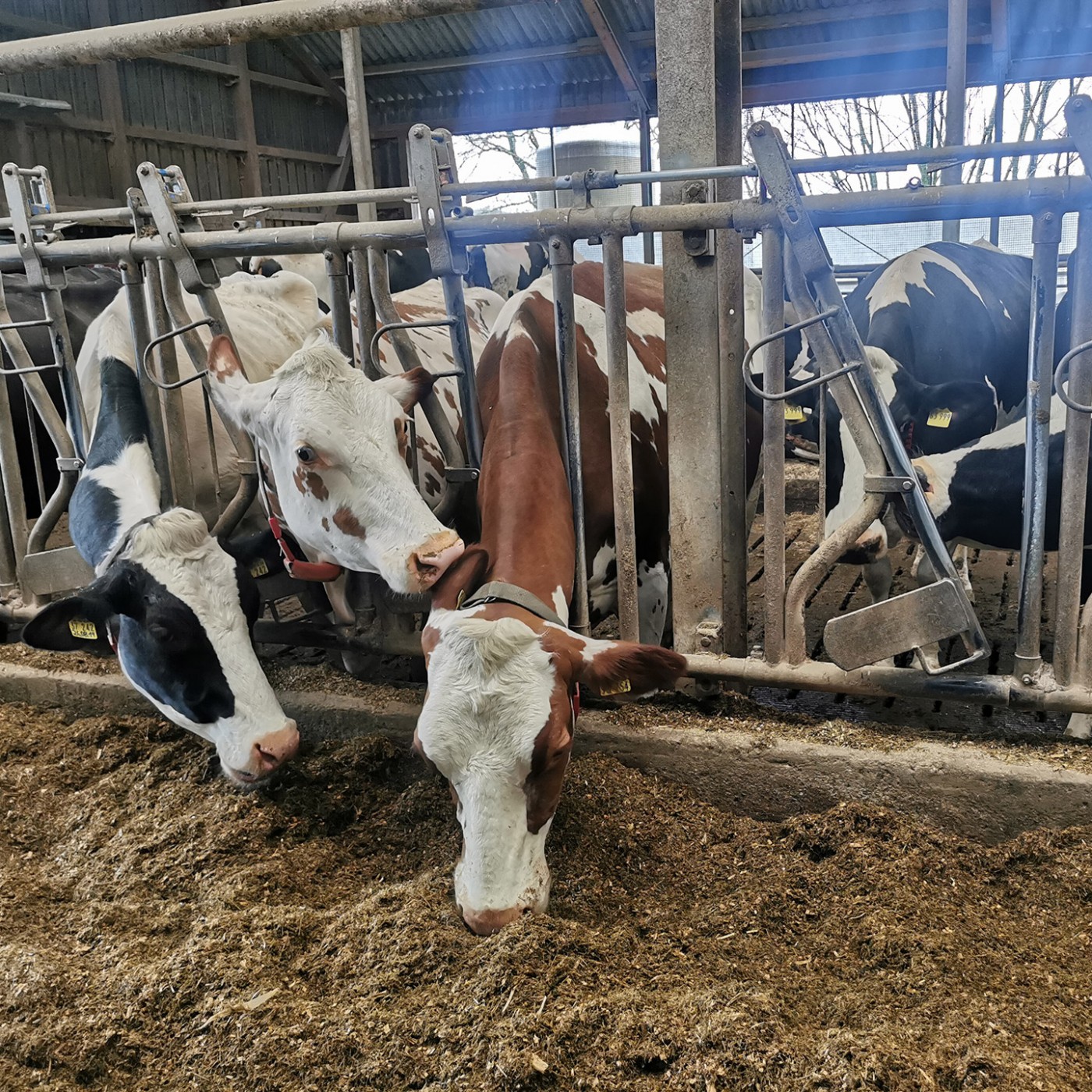 Ackern aus Leidenschaft