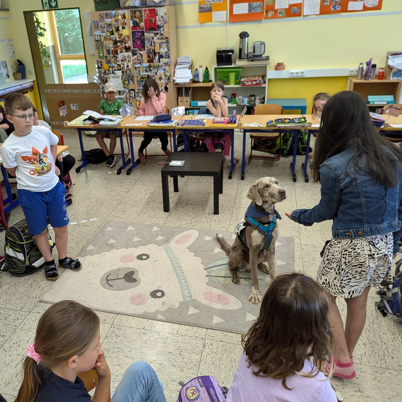 Kollege Hund - Wenn Tier und Mensch zusammenarbeiten